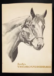 Vintage Montag's Thoroughbred stationery -9 decorated sheets, envelopes +bonus - Picture 1 of 3