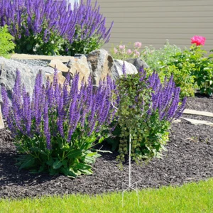 Garden Plant Vine Climbing Rack Flower Support Rack Gardening Climbing Shelf - Picture 1 of 12