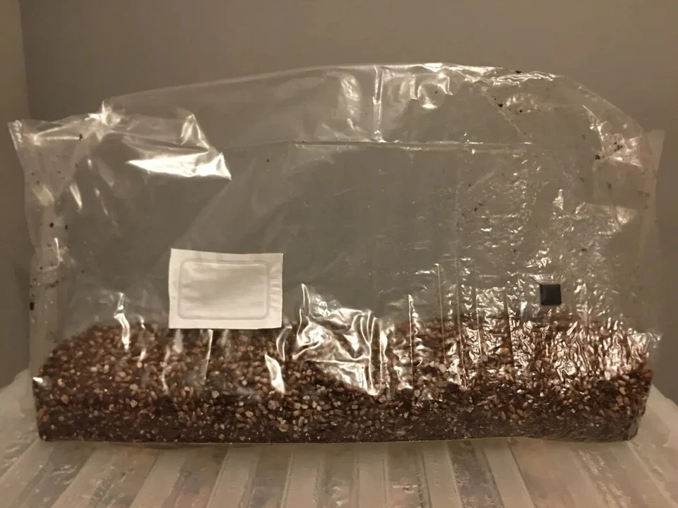 MUSHROOM GROWING KIT 4LBS , "LIGHTBAGS" INJECT-AND-FORGET REMASTERED - Image 1 of 1