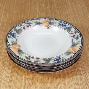 MIKASA Intaglio GARDEN HARVEST CAC29 9½" Rimmed Soup Bowls (set of 4) *XLNT EUC* - Picture 1 of 1