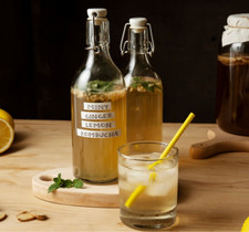 Kit tè liquido Kombucha Scoby biologico CERTIFICATO + Starter istruzioni probiotiche