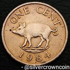 Bermuda 1 Cent 1984. KM#15. One Penny coin. Elizabeth II. Wild Boar. Animals.
