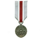 183 WW2 POLISH MEDAL FOR PARTICIPATING IN THE DEFENSIVE WAR 1939 POLAND COPY