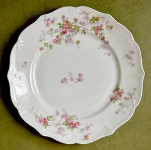 "2 platos de almuerzo de 8,5"" pintados a mano Charles Ahrenfeldt Limoges Francia" - Imagen 1 de 6