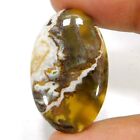 28.70Cts. 100% Natural Unique Wild Horse Oval Cabochon Loose Gemstone