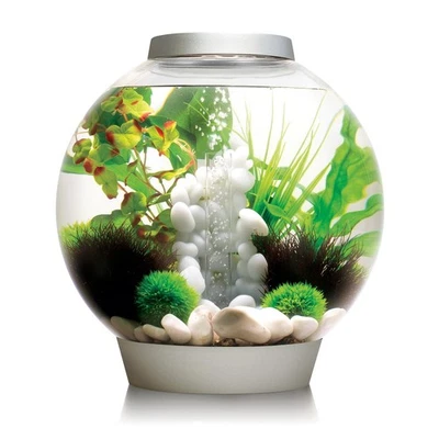 Oase biOrb CLASSIC 30 MCR silber Dekoration Aquarium Design - Bild 1 von 2