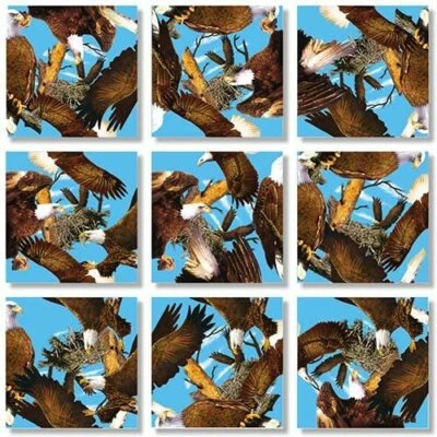 Головоломка B Dazzle Bald Eagles Scramble Squares 9 элементов - Изображение 1 из 2