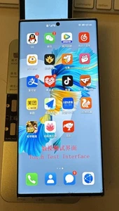 Original Samsung Galaxy S22 Ultra Display OLED Für Refurbisch Oled Ok Bitte Lese - Bild 1 von 4