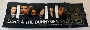 1997 DS promo poster ~ ECHO AND THE BUNNYMEN - EVERGREEN ~ 12x36 - Picture 1 of 2