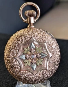 1889 A.W.C. WALTHAM Dress Pocket Watch 6s Grade J Hunter Case w/Mesh Chain & Fob - Picture 1 of 24