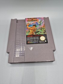 🎮✨ Nintendo NES &ndash; Wizards & Warriors | PAL | EEC |Klassiker f&uuml;r Retro-Fans! 🎮✨