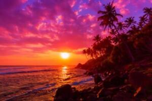 Sonnenuntergang am tropischen Strand mit Palmen Silhouetten (57756286) [...]