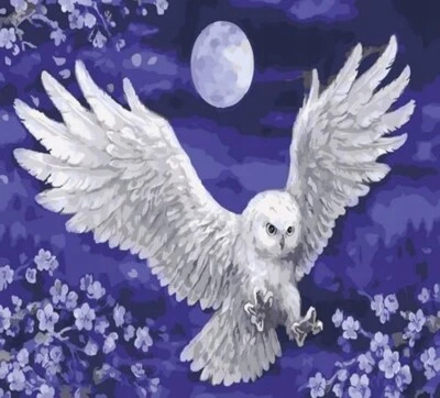 50x40 cm Malen nach zahlen Set mit Holzrahmen Eule und Mond - Bild 1 von 4