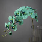 11 Heads Artificial Phalaenopsis Butterfly Orchid Flowers Party Home Diy Decor