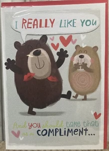 Valentines Day Card ‘I Really Like You’ Excellent Taste Hallmark Card (23x16cm) - Picture 1 of 3