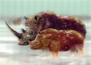 Rhinoceros Lenticular 3D Postcard - Greeting Card - Woolly and cub