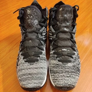 Nike LeBron 17 XVII "Arena" sz 9.5 Air Max Hyperdunk Posite Uptempo Kyrie PG KD - Picture 1 of 24