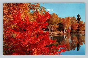 Postal de colección de arces rojos escénicos de Irish Hills MI-Michigan en un lago reflectante - Imagen 1 de 2