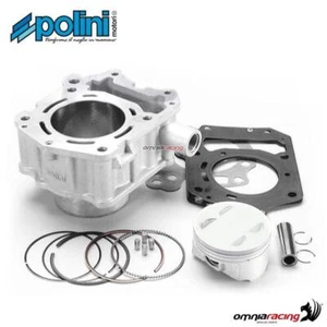 Polini aluminum cylinder kit for Aprilia Leonardo 125 - Picture 1 of 5