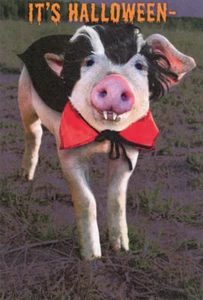 Recycled Paper Greetings Vampire Pig Funny / Humorous Halloween Card - Picture 1 of 2