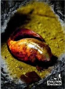 Topps Stranger Things Welcome To The Upside Down Evolution Of Demogorgon EV-2