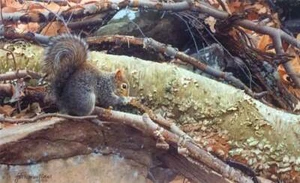 John Mullane - Uptown Squirrel - S/N Lithograph - Signed - MINT - Bild 1 von 1