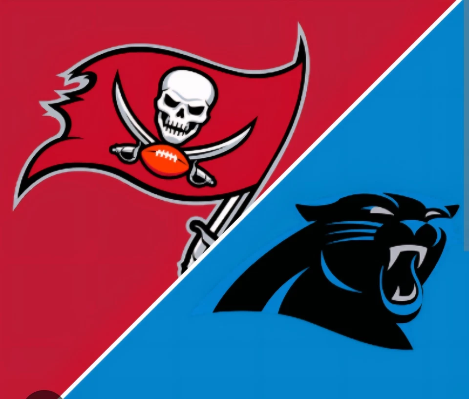 (2) Carolina Panthers vs TampaBayBuccaneers (LOWER LEVEL) - Image 1 of 4