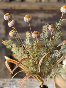 Poppy Pod with Stem | 22", Set of 2 – Decorative Faux Floral Accent Frog color - Picture 1 of 2