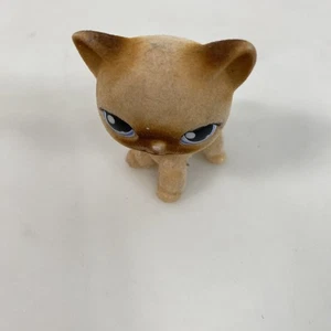 Littlest Pet Shop LPS #318 Flocked Siamese Cat Figure Brown Blue Eyes Rare Toy - Picture 1 of 9