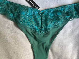 ANN SUMMERS -Sexy Lace Planet Thong Size 14 Dark Green & Blue & Jewel - BNWT - Picture 1 of 10