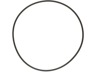 Junta de placa de respaldo de bomba de agua Mahle 66196NG para Chevrolet Impala 2006-2009 Foto 1 de 2