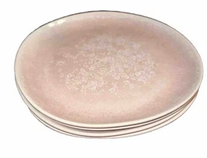 Anthropologie SET OF 4 Dakota Neutral Melamine 9”D Side Salad Plates NWT - Picture 1 of 12