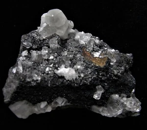 CALCITE SPHALERITE & GALENA (CA24) mineral from Becke-Oese, Germany - Picture 1 of 10