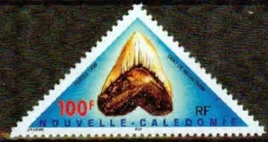 NEW CALEDONIA -1999- MEGALODON TOOTH -VF** - Picture 1 of 1
