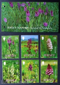 Jersey Stamps: "Nature - Wild Orchids" MNH Presentation Pack 6v Mint Set 2003 - Picture 1 of 4