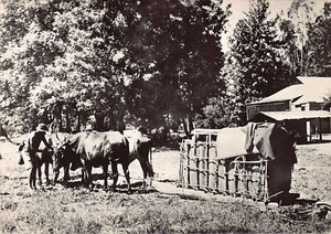 Zambia - Native ambulance - Publ. Society of the Evangelical Missions in Paris ( - Picture 1 of 2