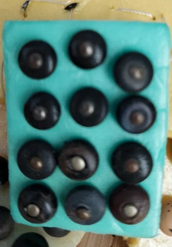 12 BUTTONS HIGH TOP BOOT KID SHOE ANTIQUE VINTG ROUND METAL SHANK LEATHER & WOOD Cover