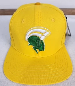 NCAA Norfolk State University Spartans Green Gold Pro Standard Snapback Hat Cap - Picture 1 of 17