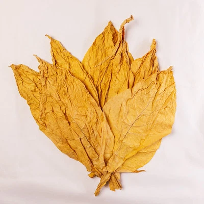 Virginia-Gold-Tabakblätter der Klasse II (1 kg) - Bild 1 von 4