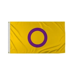 PromoPatriot's Intersex Flag - Multi-Size Variation - Intersexual LGBTQ Flag - Bild 1 von 9