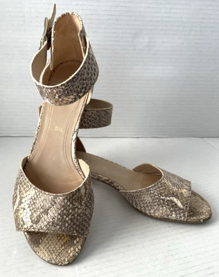 Zapatos Gabor para mujer gris dorado piel de serpiente correa en el tobillo punta abierta tacón sandalia EE. UU. 7,5 Foto 1 de 4