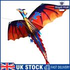 Colorful Kite Cute 3D Dragon Outdoor 100m Surf Flying Game Children Kids Toys