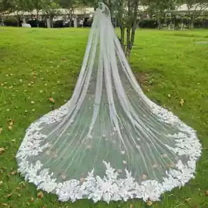 Velos de novia de boda 3M apliques de encaje borde 1T velo de catedral de tul con peine - Imagen 1 de 9