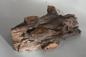Real Structured Half Open Aquarium Bog Wood SHOBWR Suitable For Fish Aquariums - Picture 1 of 3
