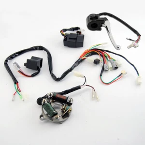 Arnés de cableado de motor interruptor de encendido palanca de freno CDI bobina estator para Yamaha PW50 - Imagen 1 de 6