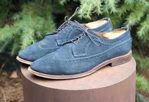 Allen Edmonds McGregor Blue Suede Wingtip Brogue Dress Shoes 9.5 D Men's Leather - Picture 1 of 8