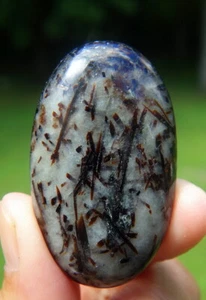 Astrophyllit schimmernder Palmenstein Sorgenstein Taschenstein - Bild 1 von 6