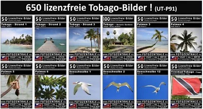 650 Lizenzfreie Profi-Bilder - Trinidad & Tobago - (Royalty Free / Photoshop) - Bild 1 von 4