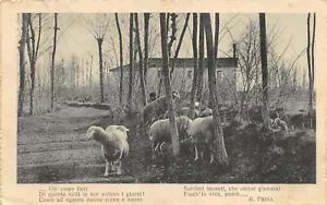 D2702) WW1 POSTA MILITARE 94 DEL 18/9/17 DISLOCATO A CERVIGNANO CARTOLINA PRINA - Bild 1 von 2