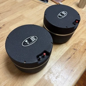 JBL 375 Driver Unit Coppia Altoparlanti Signature 16Ω Ottimi Testati Giappone FedEx JN02 - Foto 1 di 7